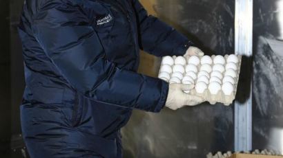 호주산 계란 첫 수입 ‘불발’…검역 불합격