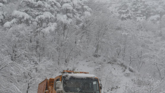 강원 동해안 ‘눈폭탄’…일부 구간 진입 통제