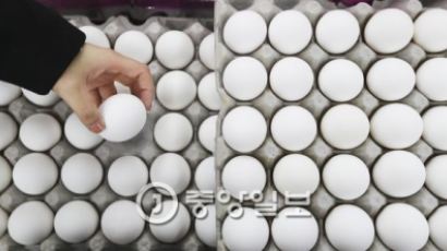 [서소문 사진관] 미국산 계란, 소비자의 반응은?