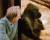 영국 채널4에서 방송된 다큐멘터리 ‘찰스 다윈의 천재성’ 촬영 중 고릴라를 바라보고 있는 도킨스.