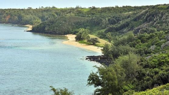 “나한테 땅 팔아라” 저커버그, 하와이 주민 수백명에 소송 