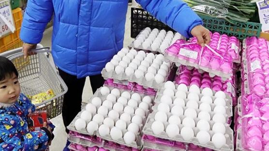 [사진] 미국산 ‘흰색 계란’ 판매 시작