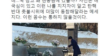 박 대통령 현충원 방문에…정청래 "탄핵반대 시위 독려 메시지일 것"