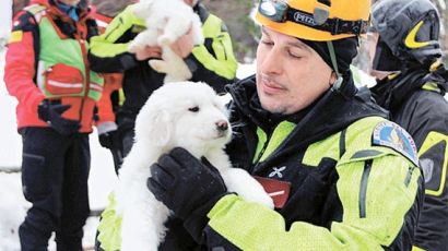 [사진] 이탈리아 눈사태, 강아지 가족 극적 구조 