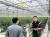 스마트팜에서 농진청 관계자와 토마토 재배에 대해 논의 중인 배진수(오른쪽)씨. [사진 농촌진흥청]