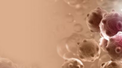 비정상 세포 죽이는 염소이온 운반체 개발…새로운 항암제 개발되나