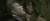 영화 `람보`에서 특수작전용 칼로 적을 위협하는 실베스터 스탤론. 이 칼은 이른바 `람보칼`이라는 별명으로 국내에서도 인기를 끌었다. [사진 영화 람보 캡처]