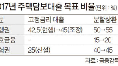 2금융권도 DSR 적용, 대출 문턱 더 높인다