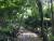 제주도가 한라산에 이어 오름·곶자왈을 국립공원으로 지정하기 위한 사업에 착수했다. [사진 최충일 기자]