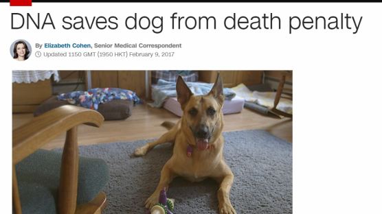 DNA 검사로 '이웃 강아지 살해' 누명 벗고 안락사 위기 피한 '도우미 강아지' 젭