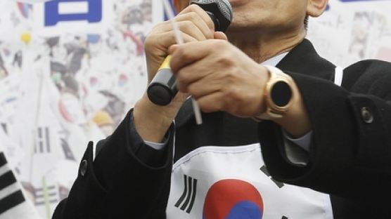 '태극기 집회' 참석 김문수 "문재인을 탄핵해야 한다"