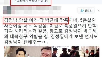 "국정원이 김정남 피살" 음모론에…일베 "이쯤 되면 망상 환자"