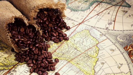 [글로벌 J카페]'커피의 나라' 브라질, 300년만에 커피 수입 임박