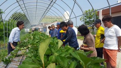 [반퇴시대] 청송 커피농부, 칠곡 버섯농부 … 4050의 꿈 열매 맺는 농민사관학교