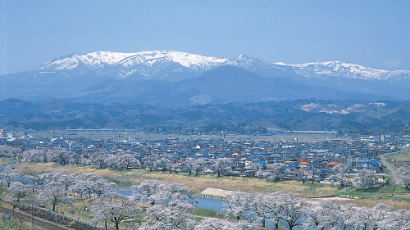 [이주의 할인항공권] 4만원대 일본 벚꽃여행