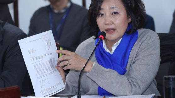 검찰, ‘선거법 위반’ 박영선 의원 벌금 200만원 구형