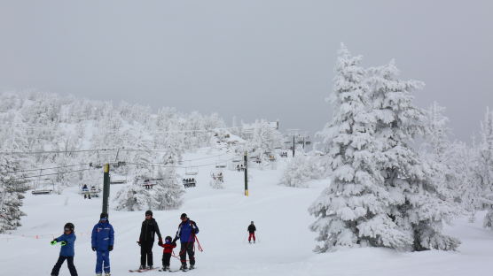 4월까지 스키 탈 수 있는 '겨울왕국'은 어디? 