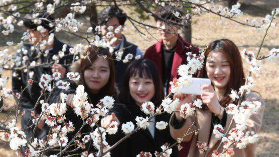 [사진] 벌써 봄! … 캠퍼스에 핀 꽃