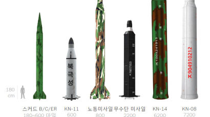 한국에 핵무기 배치되나…NYT “백악관 회의서 한국내 전술 핵무기 재배치 논의”