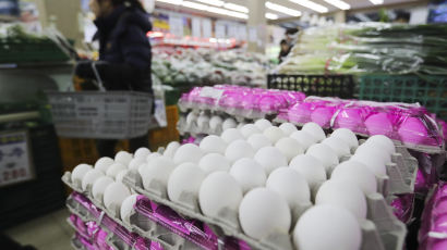 미국서 H7형 AI 발생…미국산 계란 수입 금지