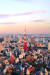 일본 도쿄의 상징 도쿄타워.    [사진 여행박사]
