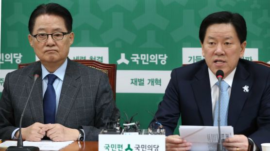 박지원 "탄핵 인용돼야 탄핵열차, 민주열차 될 것"