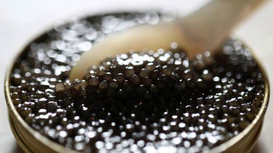 바다의 '블랙 다이아몬드' 캐비어 하나로 준비하는 홈 파티