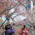 완연한 봄 날씨를 보인 16일 오후 사진작가들이 서울 삼성동 봉은사 경내에 핀 홍매를 촬영하고 있다. 기상청은 당분간 기온이 평년과 비슷하거나 조금 높아 낮 동안에는 포근할 것으로 예보했다. [사진 김상선 기자]