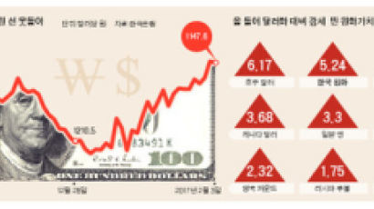 한국 원화 올해 실질가치 상승률 주요 27개국 중 1위