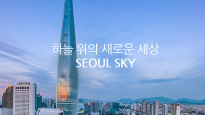 '승강기 사고' 롯데월드타워 초고층 전망대 개장 연기