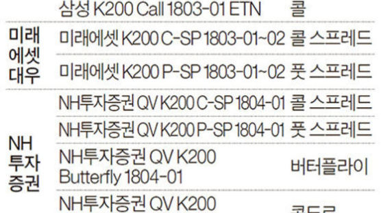 손실 걱정 덜어주는 고수익 ETN 봇물