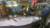 22일 오전 3시50분쯤 경북 울진군 앞바다에서 잡힌 밍크고래를 선원들이 살펴보고 있다. [사진 포항해양경비안전서]