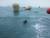 세월호 참사가 일어난 다음날인 2014년 4월 17일 전남 진도군 해역에서 특수임무유공자회 회원이 수중 수색 작업을 하고 있다. [사진 특수임무유공자회 경북지부]