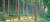 우수 조림지로 손꼽히는 전남 장성군 축령산 일대 편백나무 숲길. [사진 산림청]