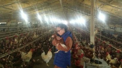 법원 "AI 예방적 살처분 정당"…농장주 "건강한 닭들과 같이 죽겠다" 반발