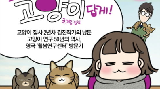  ‘오늘도 고양이답게’···사료 브랜드 위스카스서 만든 웹툰 인기