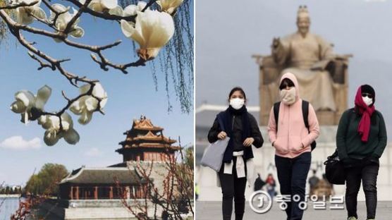 현재 봄꽃 활짝 핀 '맑은 베이징' 사진에 네티즌 반응