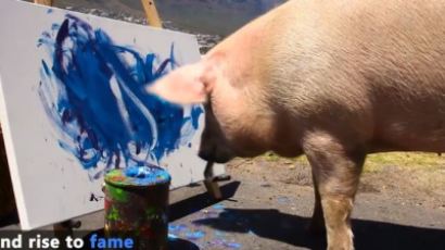 아트 갤러리 운영하는 '그림 그리는 돼지' 피그카소 