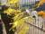 목포신항 펜스에 노란 리본과 함께 꽃들 걸려 있다. 하준호 기자