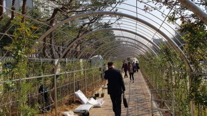 박근혜 구속 후 등장한 법조 타운 '꽃 터널'
