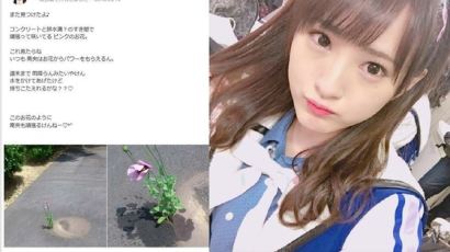 SNS에 꽃 사진 올렸다가 경찰 조사받은 여자 아이돌
