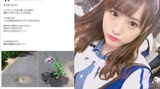 SNS에 꽃 사진 올렸다가 경찰 조사받은 여자 아이돌