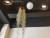 서울 삼성동 한 꽃집에서 미세먼지 방지용 식물인 틸란드시아를 진열해놓고 있다. [사진 여성국 기자]
