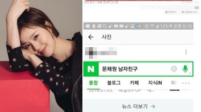 "내가 문채원 남자친구…정신병자 취급말라" 글 화제 