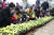 5일 서울 중랑구 묵동천 자연학습장 일대에서 열린 제 72회 식목일 나무심기 행사에서 어린이들과 나진구 구청장(가운데 노란옷)이 달리아 꽃을 심고 있다.