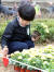 5일 서울 중랑구 묵동천 자연 학습장 일대에서 열린 제72회 식목일 나무심기 행사에서 어린이들이 달리아 꽃을 심고 있다.