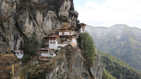 [week&] 산책길의 원숭이·독수리 … 부탄은 그들에게도 천국