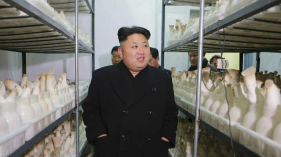 김정은 “북한을 버섯의 나라로 만들겠다”고 한 이유는?