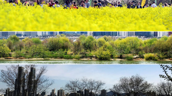 [서소문사진관]미세먼지 없는 화창한 봄…마음 설레게하는 봄 무지개