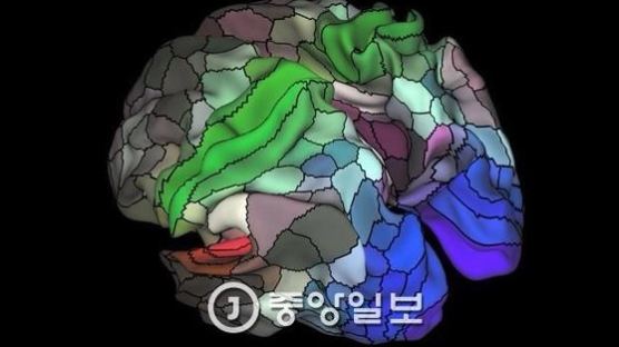 미 MIT연구팀, 뇌 속 장기기억 생성 과정 처음으로 밝혔다 